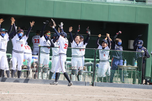 盛り上がるベンチ