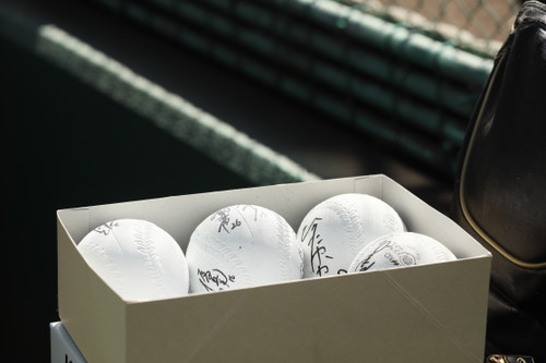 久々に見たなぁ。。サインボール