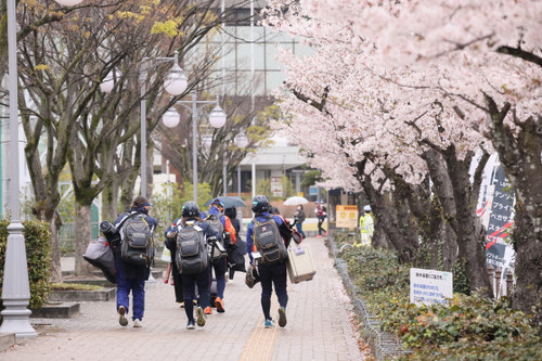 桜とサンディーバ選手たち