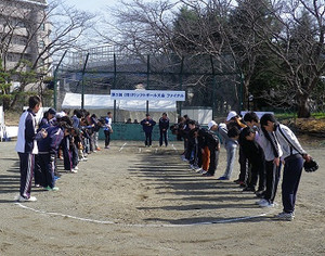 201503043